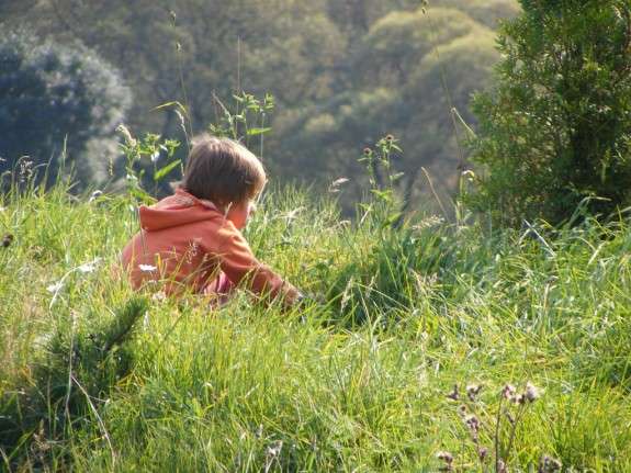 child in grass