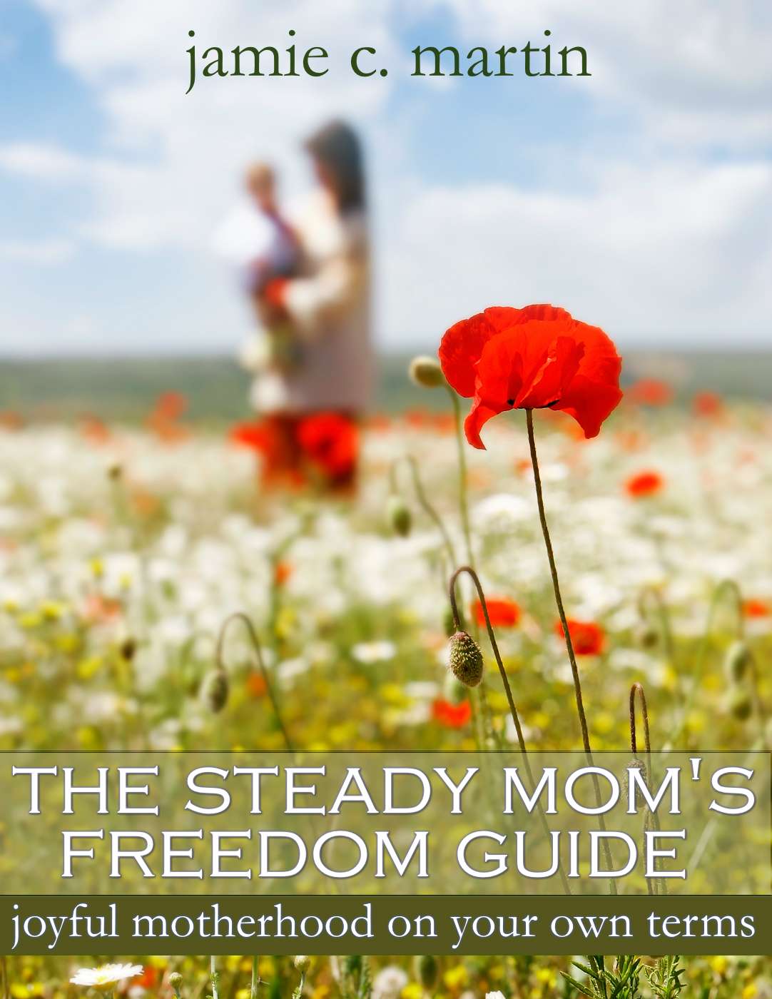 The Steady Mom s Freedom Guide Simple Homeschool