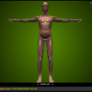 uzinggo 2