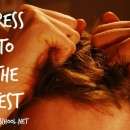 Stress to the test