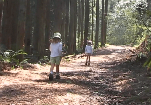 little travelers japan