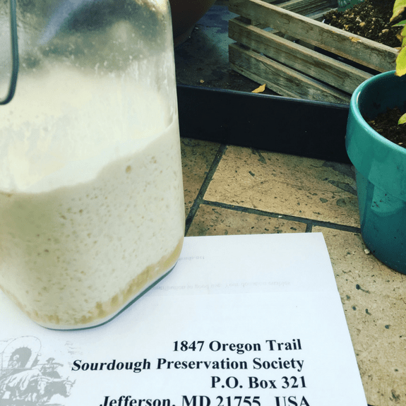 5 Ways Social Media Helps Me Homeschool Shawna Wingert, Simple Homeschool