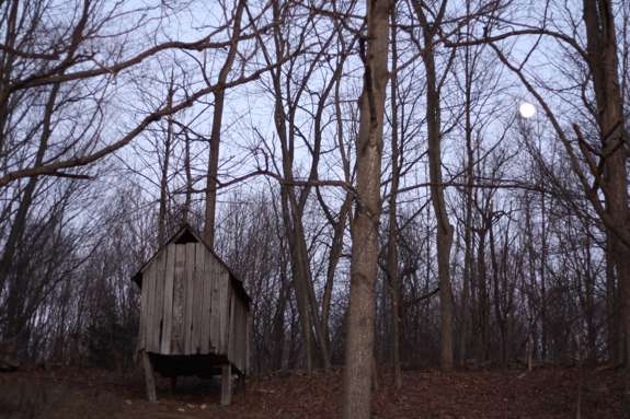 Homeschooling saved my kids’ lives: A personal response to Newtown