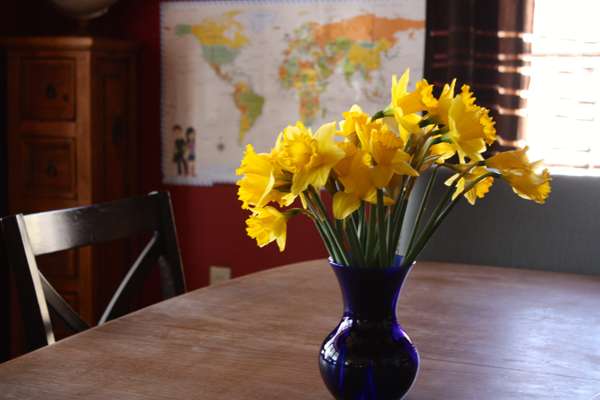 Weekend homeschool links