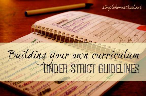 Building your own curriculum under strict guidelines