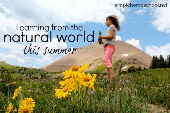 Learning from the natural world this summer