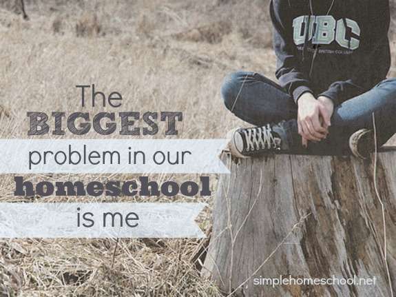 The biggest problem in our homeschool is me