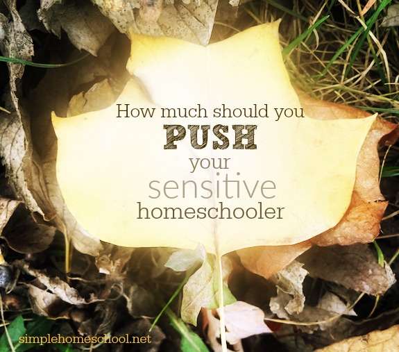 How much should you push your sensitive homeschooler