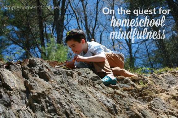 On the quest for homeschool mindfulness