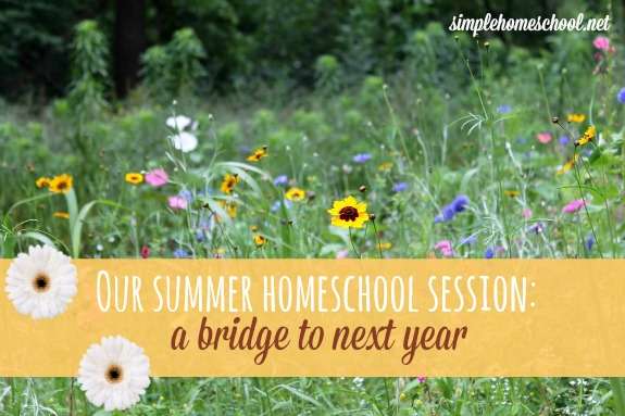 Our summer homeschool session: a bridge to next year