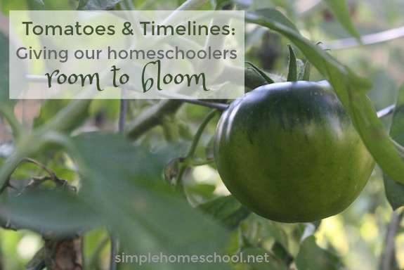 Tomatoes & Timelines: Giving our homeschoolers room to bloom