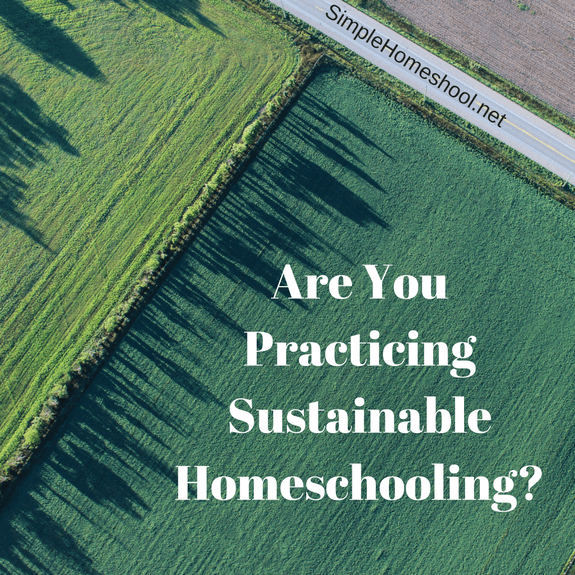 Are You Practicing Sustainable Homeschooling-