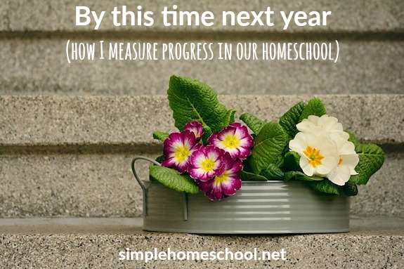 By this time next year (how I measure progress in our homeschool)