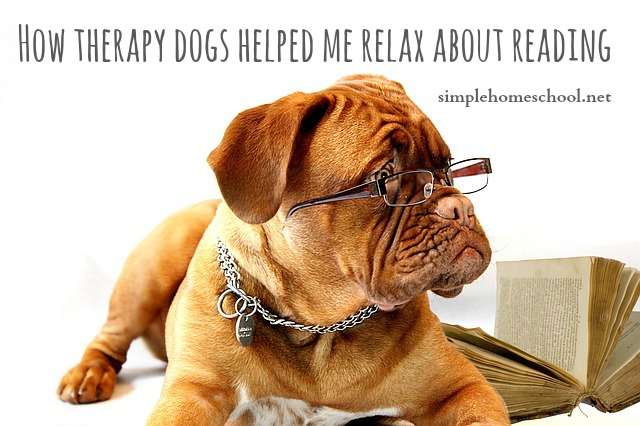 How therapy dogs helped me relax about reading