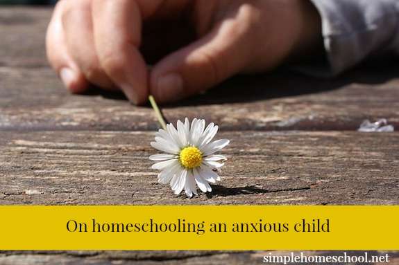 On homeschooling an anxious child