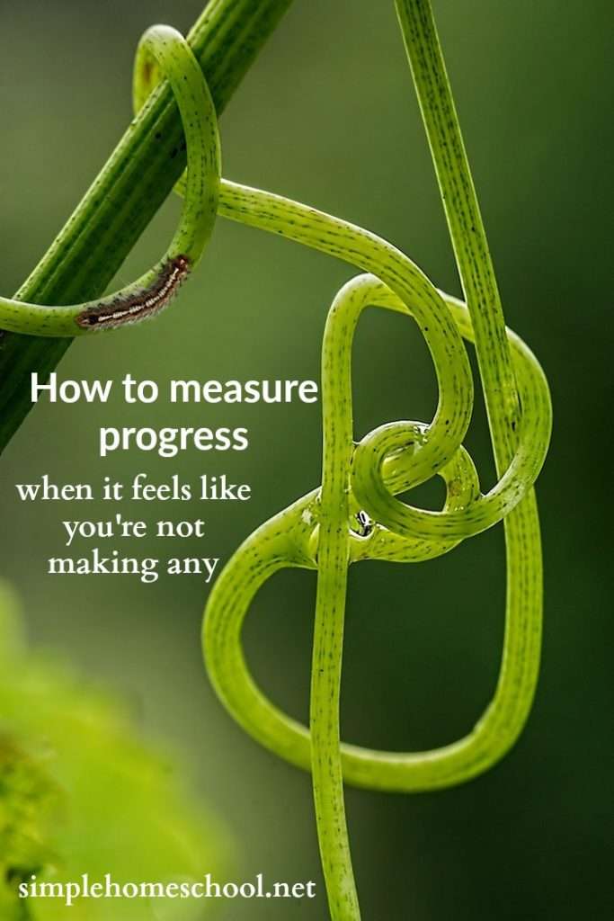 How to measure progress when it feels like you're not making any ...