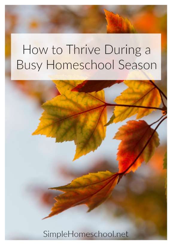 How to Thrive During a Busy Homeschool Season | Caitlin Fitzpatrick Curley, Simple Homeschool