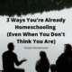 3 Ways You're Always Homeschooling (Even When You Don't Think You Are)