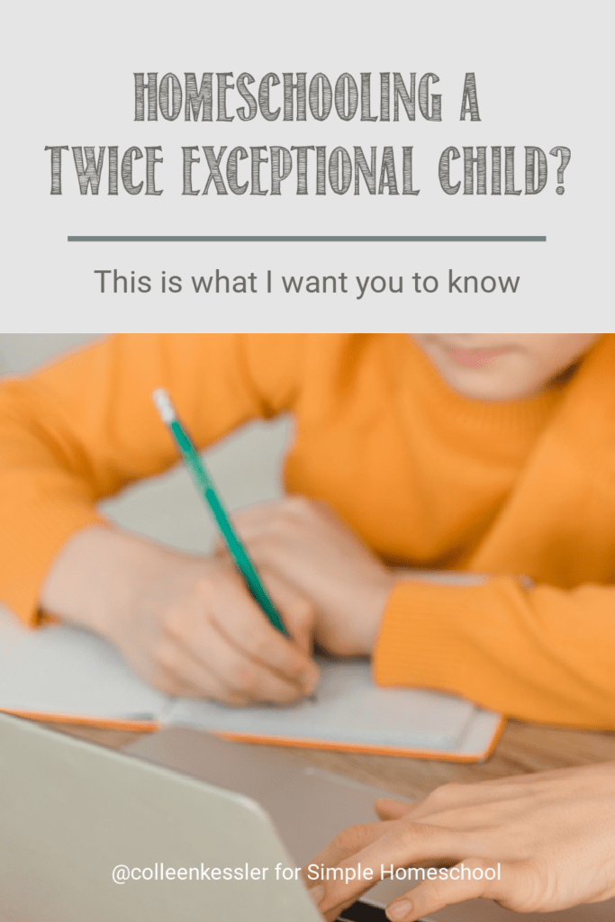 homeschooling twice exceptional