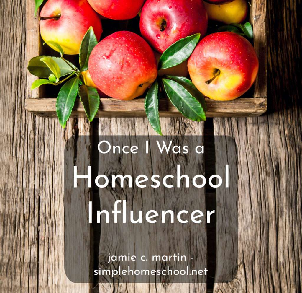 Once I Was a Homeschool Influencer