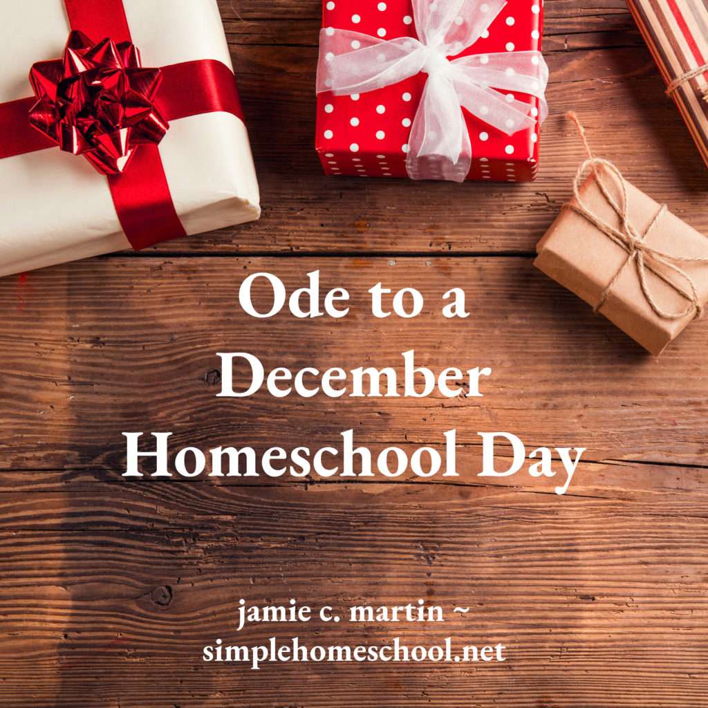 December Homeschool Day