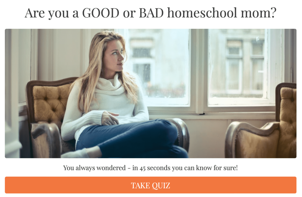 Are you a good or bad homeschool mom?