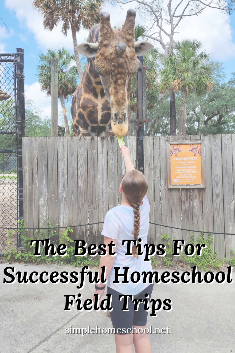 Successful Homeschool Field Trips