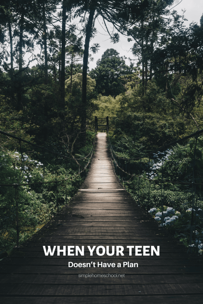 When Your Teen Doesn't Have a Plan: Homeschooling is a gift of relationships, time, education, and beauty. Don't feel the need to rush.