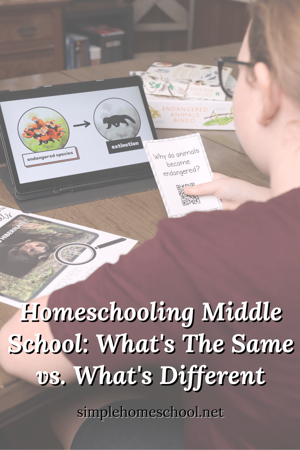 Homeschooling Middle School