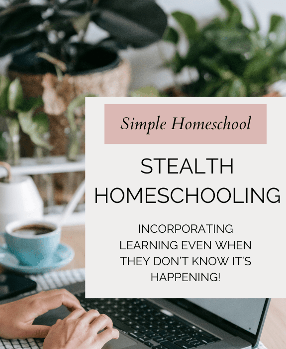Stealth Homeschooling