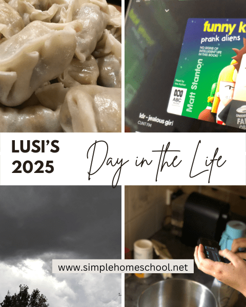 Lusi’s Homeschool Day