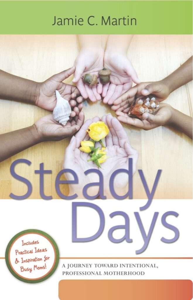 Steady Days book by Jamie C. Martin